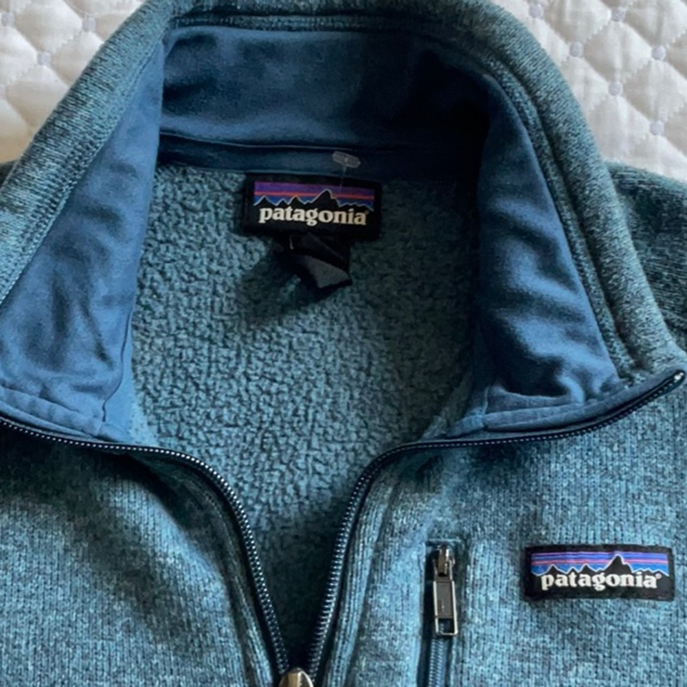 Patagonia Men’s  Quarter-Zip Pullover - Picture 2 of 6
